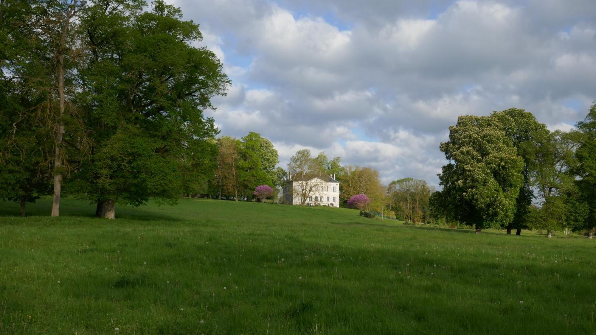 B&B Chateau De Preuil Vallenay Екстериор снимка