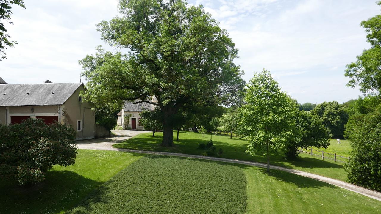 B&B Chateau De Preuil Vallenay Екстериор снимка